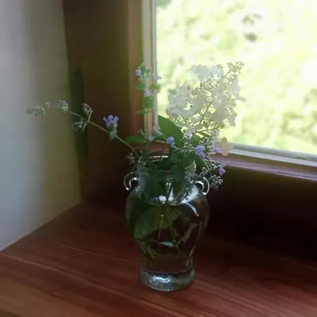 مزرعة للإقامة Dwor Zalipie W Starych Zambskach