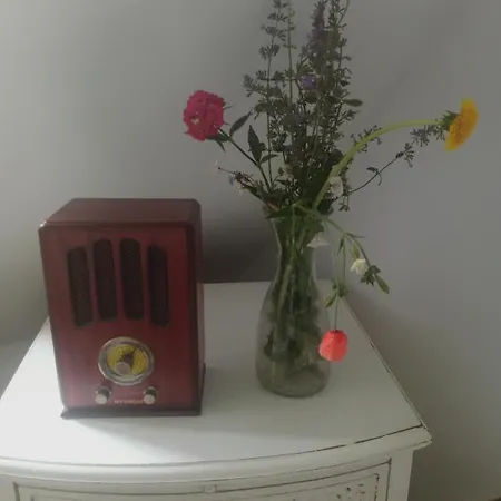 مزرعة للإقامة Dwor Zalipie W Starych Zambskach Stare Zambski