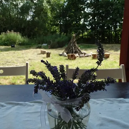 مزرعة للإقامة Dwor Zalipie W Starych Zambskach Stare Zambski