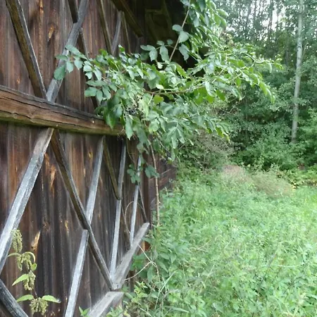 Farm stay Dwor Zalipie W Starych Zambskach