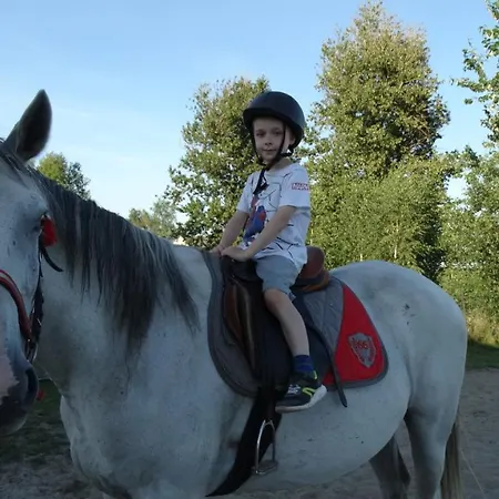 Dwor Zalipie W Starych Zambskach Séjour à la ferme Stare Zambski