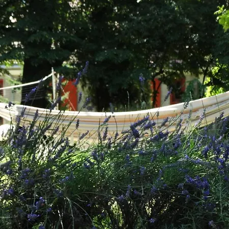 Dwor Zalipie W Starych Zambskach مزرعة للإقامة Stare Zambski