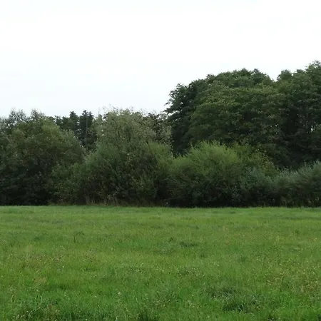 Dwor Zalipie W Starych Zambskach