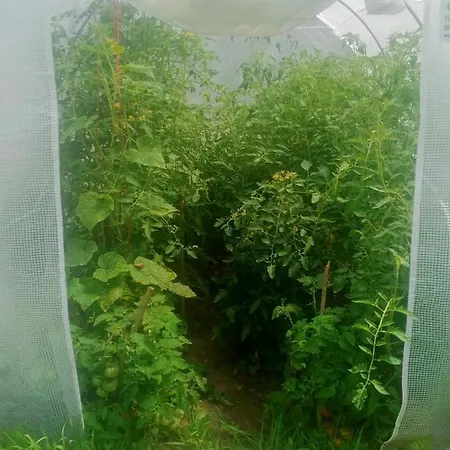 Séjour à la ferme Dwor Zalipie W Starych Zambskach *