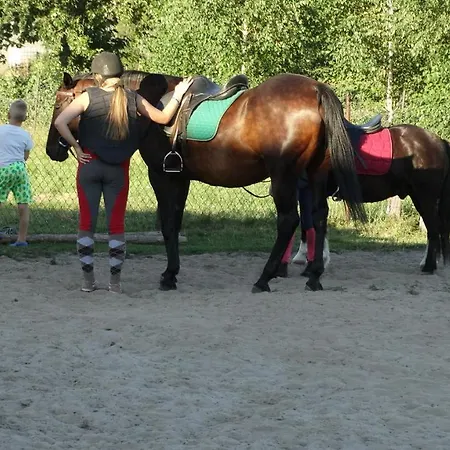 مزرعة للإقامة Dwor Zalipie W Starych Zambskach Stare Zambski