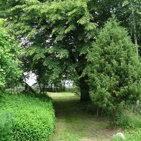 Dwor Zalipie W Starych Zambskach * Stare Zambski