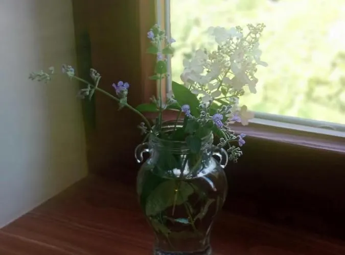 Séjour à la ferme Dwor Zalipie W Starych Zambskach