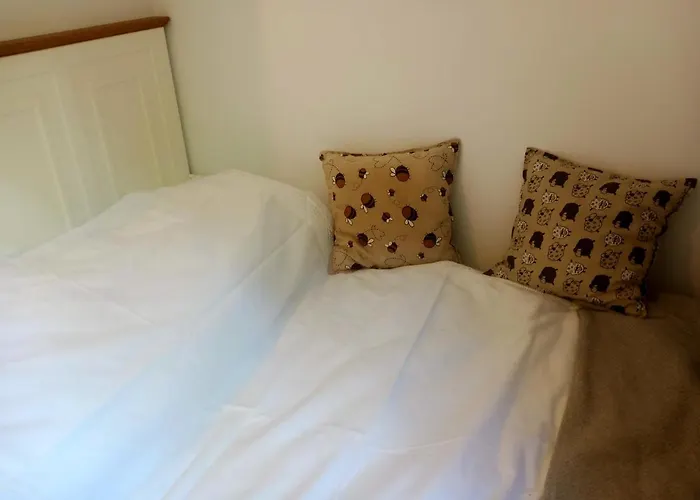 Dwor Zalipie W Starych Zambskach