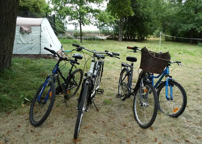 Dwor Zalipie W Starych Zambskach