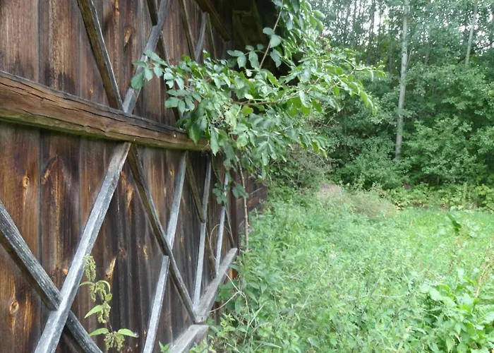 Séjour à la ferme Dwor Zalipie W Starych Zambskach