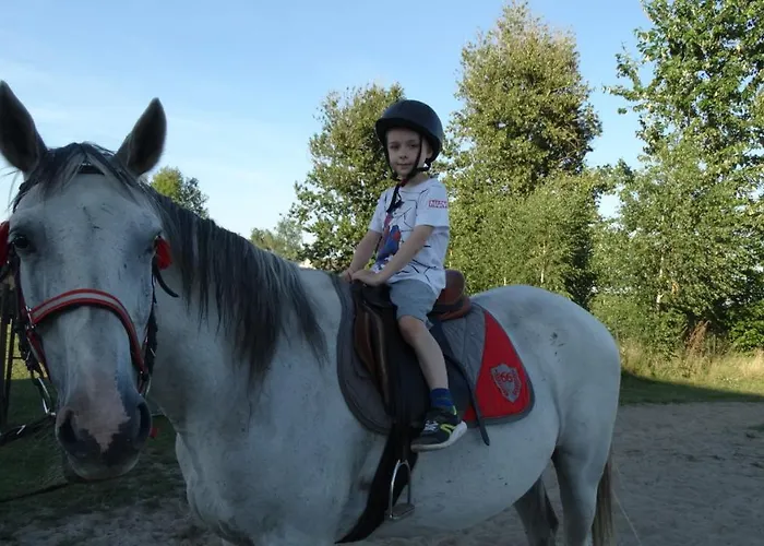 Dwor Zalipie W Starych Zambskach Séjour à la ferme Stare Zambski