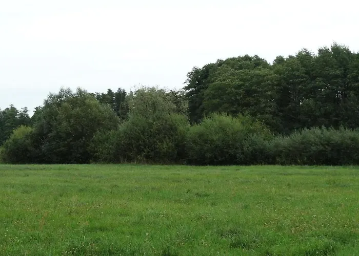 Dwor Zalipie W Starych Zambskach