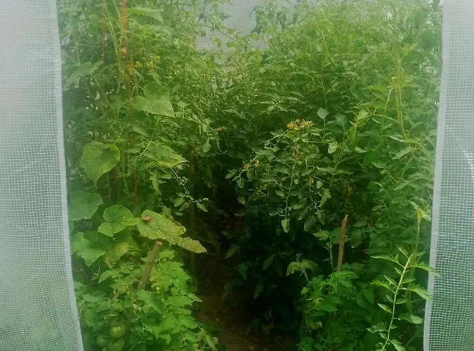 Séjour à la ferme Dwor Zalipie W Starych Zambskach *