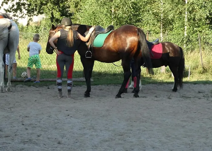 Séjour à la ferme Dwor Zalipie W Starych Zambskach Stare Zambski