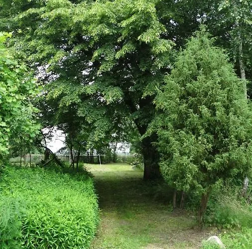 Dwor Zalipie W Starych Zambskach * Stare Zambski